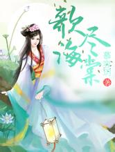 2024年新澳门天天开好彩大全九龙城seo